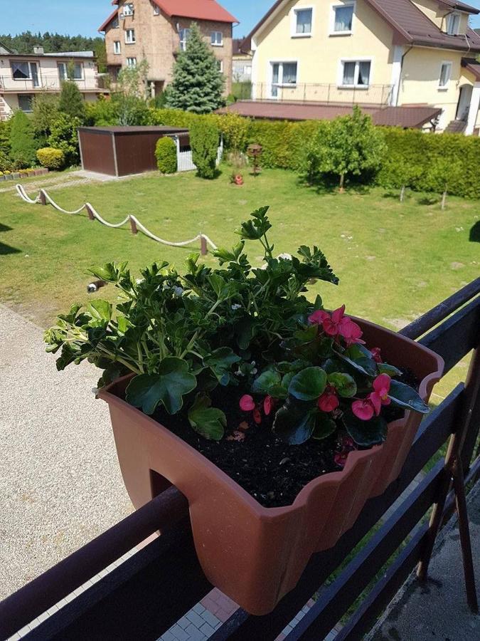 Goscinne Irena Homestay Mieroszyno